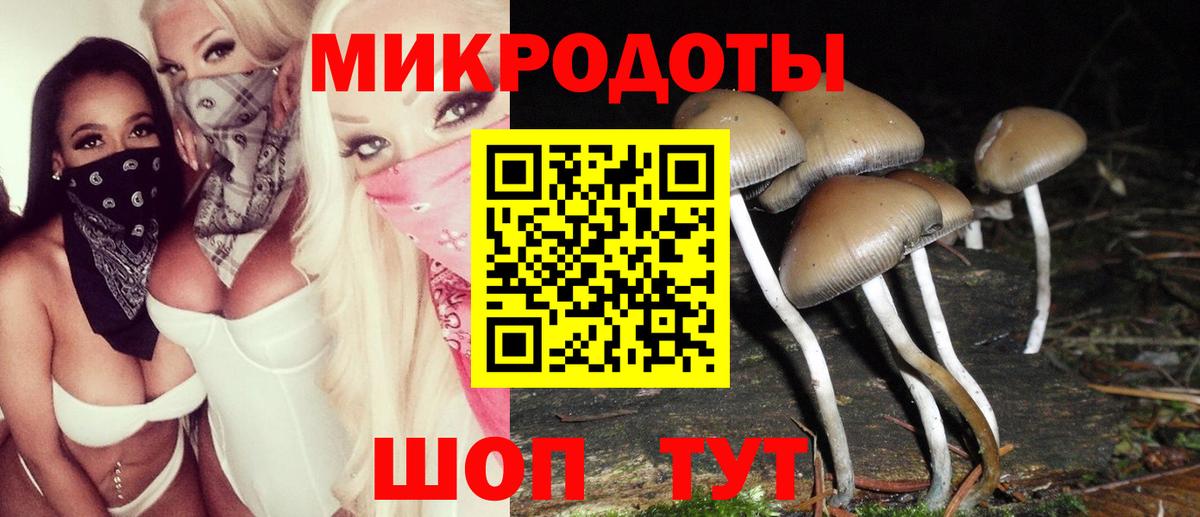 Псилоцибиновые грибы ЛСД  Вход с VPN  Кемерово  Псилоцибиновые грибы Psilocybine cubensis 